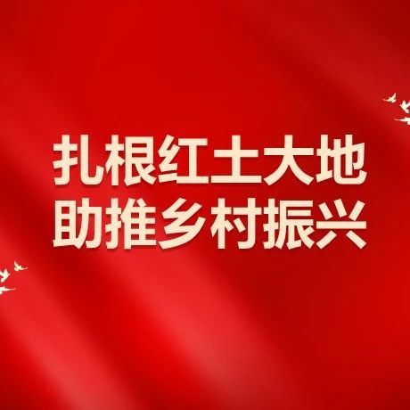 “三亮一促”树标杆 塑造党员新形象