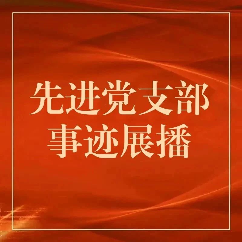 学习榜样精神 汲取奋进力量——先进党支部事迹展播