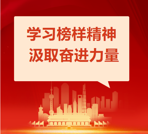 学习榜样精神 汲取奋进力量——优秀党务工作者事迹展播